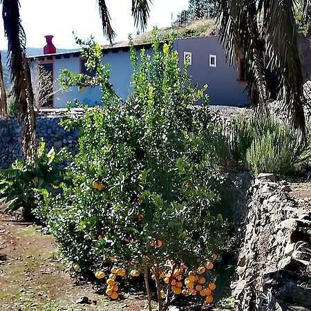 فيلا Casa La Montana El Cedro المظهر الخارجي الصورة