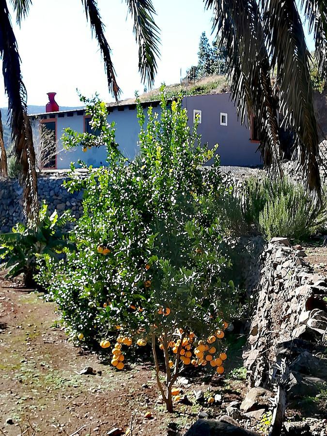 فيلا Casa La Montana El Cedro المظهر الخارجي الصورة